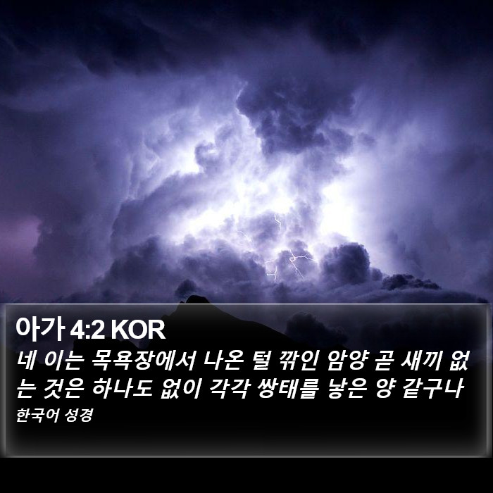 아가 4:2 KOR Bible Study