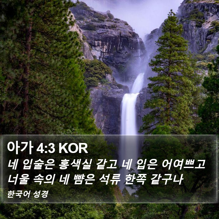 아가 4:3 KOR Bible Study