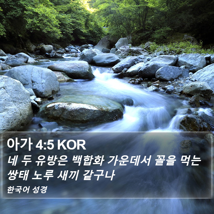 아가 4:5 KOR Bible Study