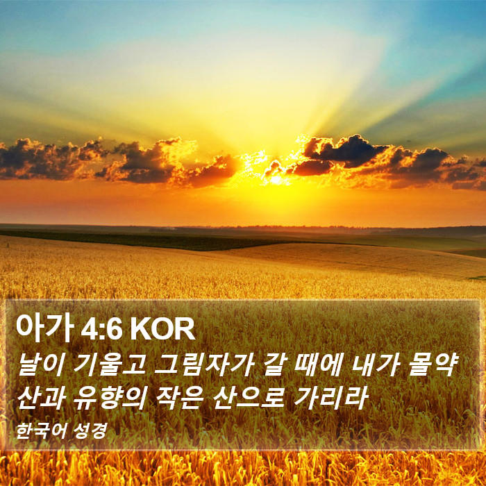 아가 4:6 KOR Bible Study
