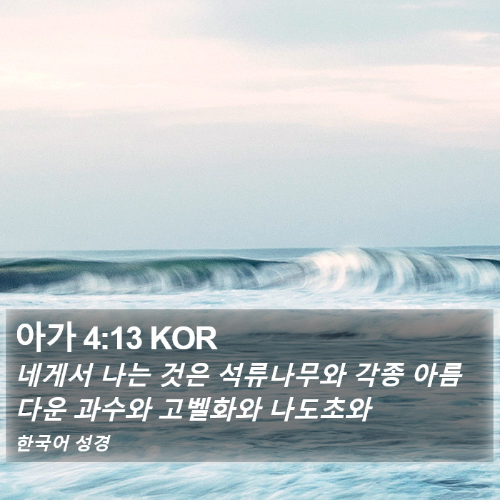아가 4:13 KOR Bible Study