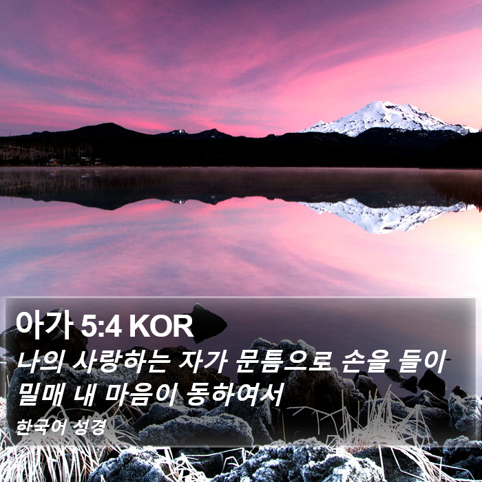 아가 5:4 KOR Bible Study
