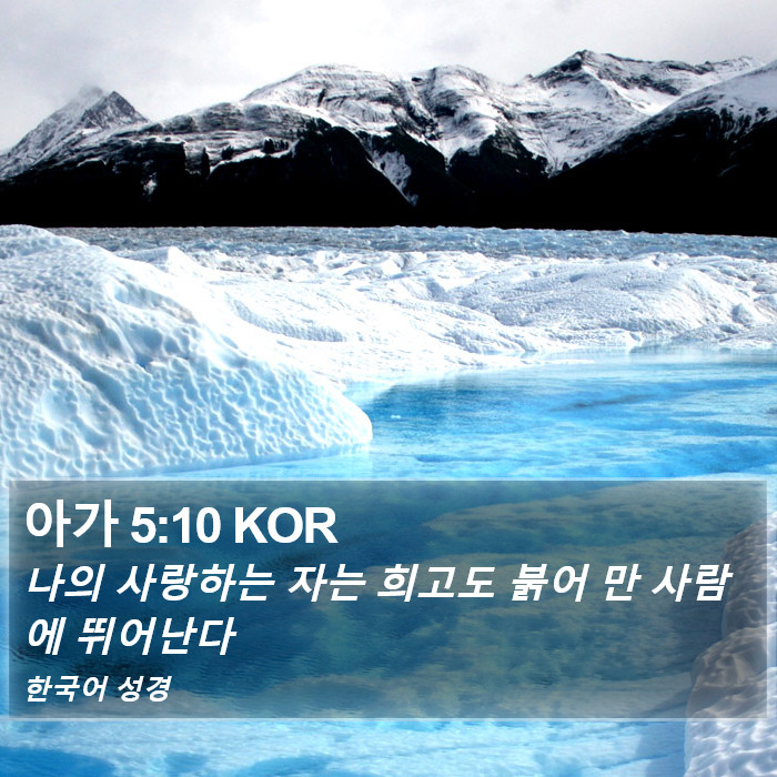 아가 5:10 KOR Bible Study