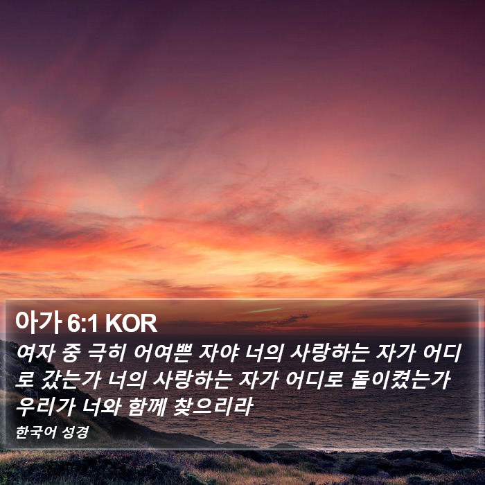 아가 6:1 KOR Bible Study