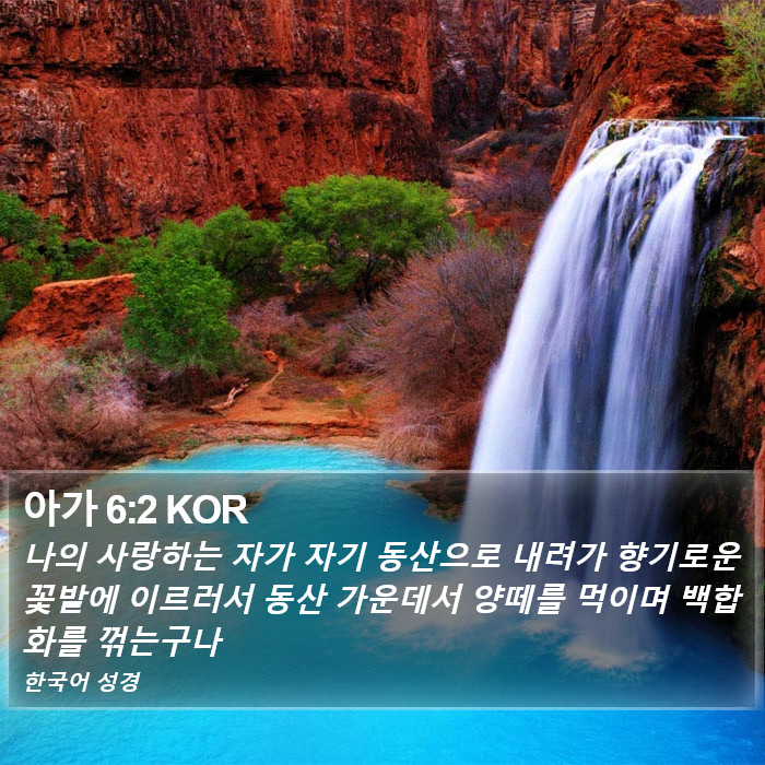 아가 6:2 KOR Bible Study