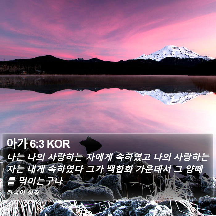 아가 6:3 KOR Bible Study