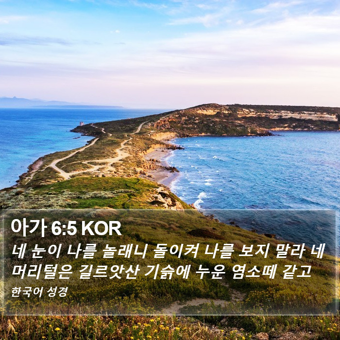 아가 6:5 KOR Bible Study