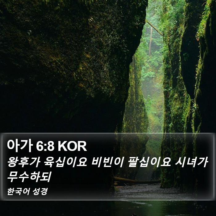 아가 6:8 KOR Bible Study