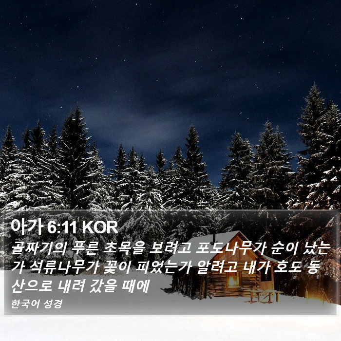 아가 6:11 KOR Bible Study