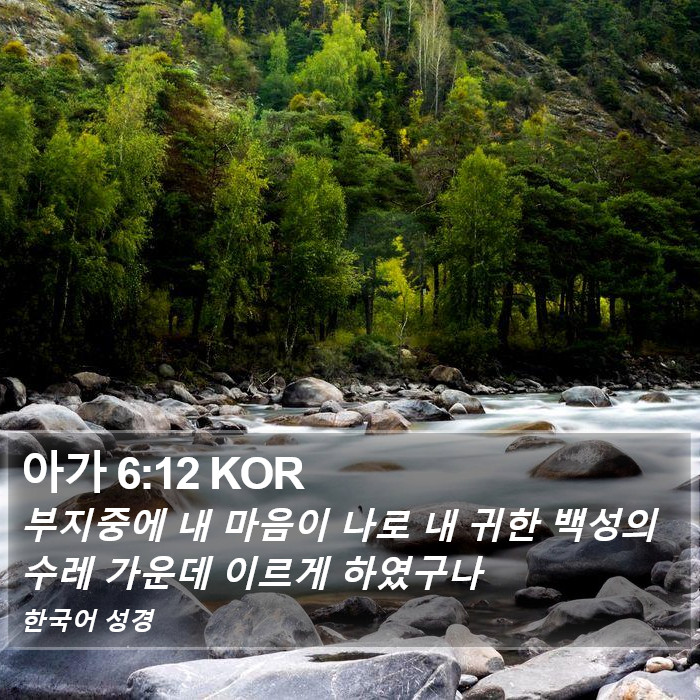 아가 6:12 KOR Bible Study