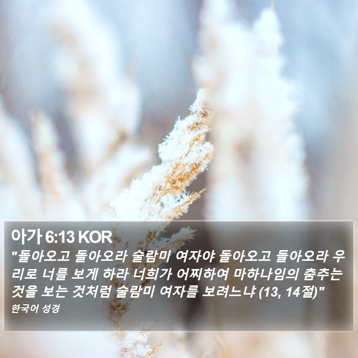 아가 6:13 KOR Bible Study