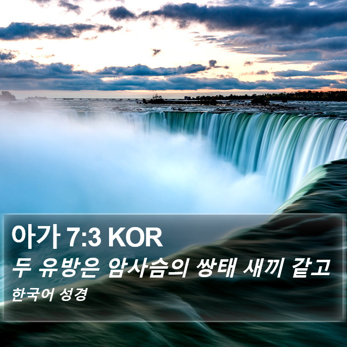 아가 7:3 KOR Bible Study