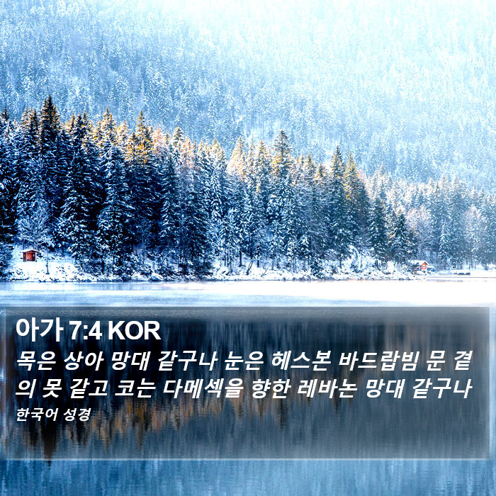 아가 7:4 KOR Bible Study