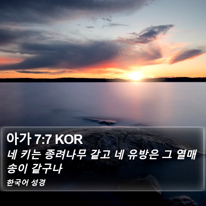 아가 7:7 KOR Bible Study