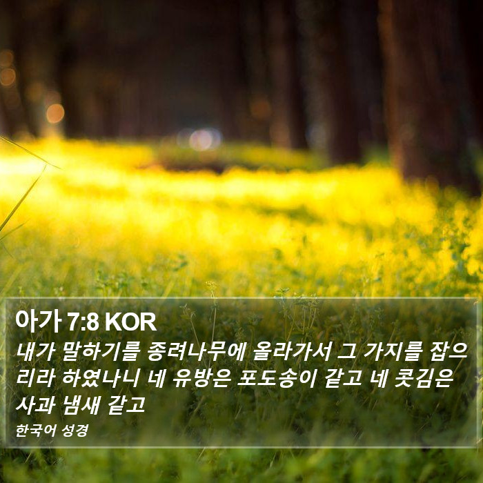 아가 7:8 KOR Bible Study