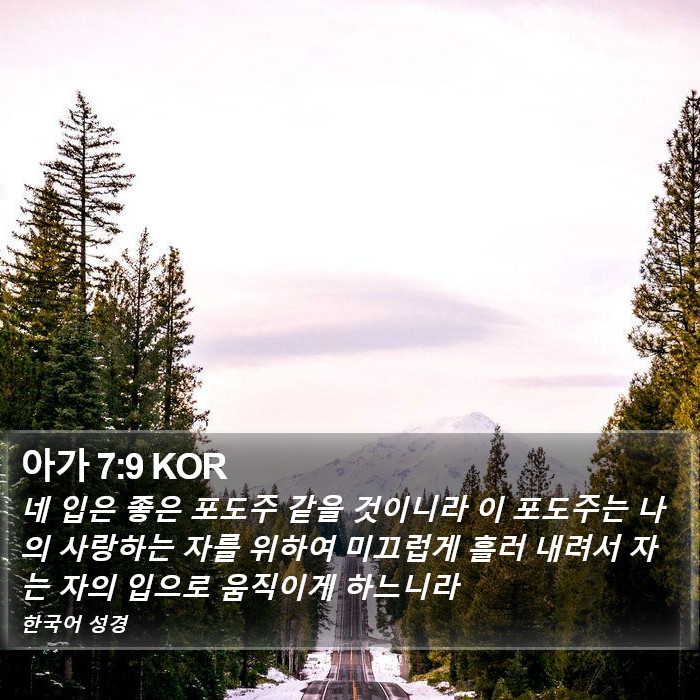 아가 7:9 KOR Bible Study