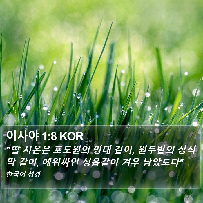 이사야 1:8 KOR Bible Study