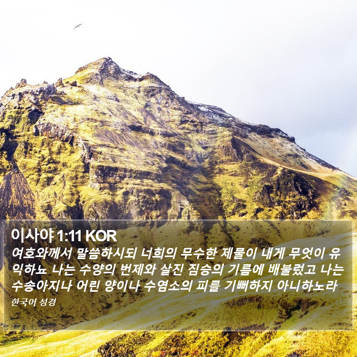 이사야 1:11 KOR Bible Study