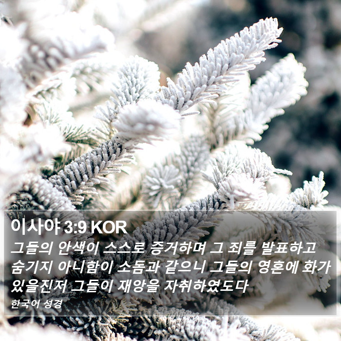 이사야 3:9 KOR Bible Study