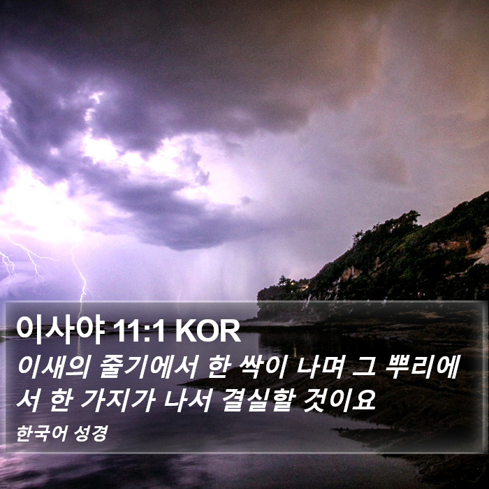 이사야 11:1 KOR Bible Study