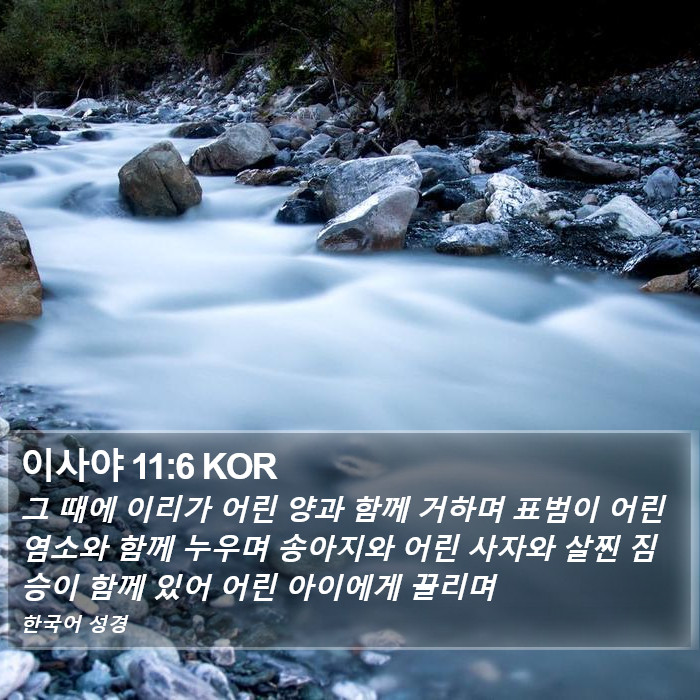 이사야 11:6 KOR Bible Study