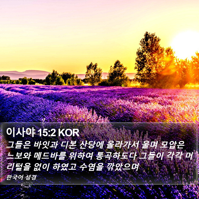 이사야 15:2 KOR Bible Study