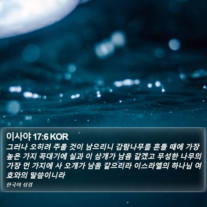 이사야 17:6 KOR Bible Study