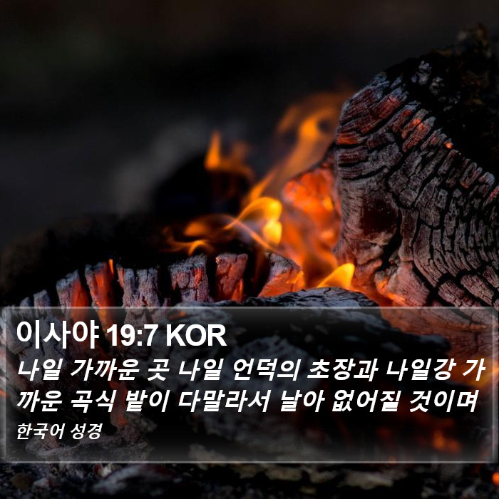 이사야 19:7 KOR Bible Study