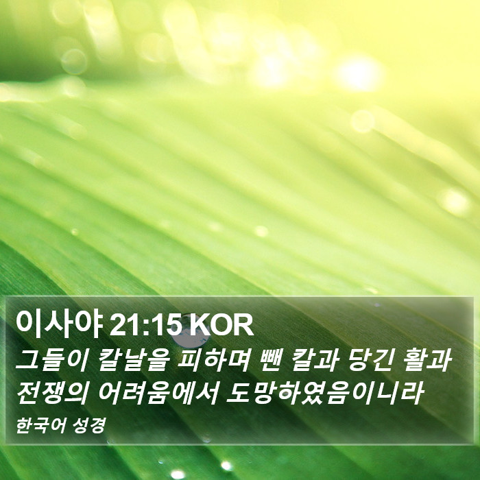이사야 21:15 KOR Bible Study