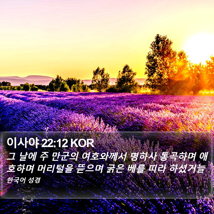 이사야 22:12 KOR Bible Study