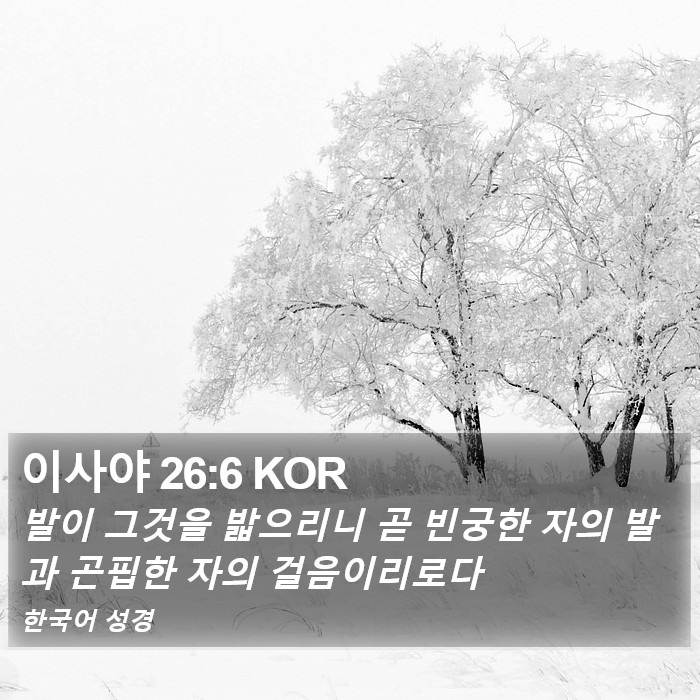 이사야 26:6 KOR Bible Study