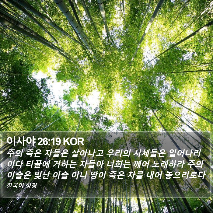 이사야 26:19 KOR Bible Study