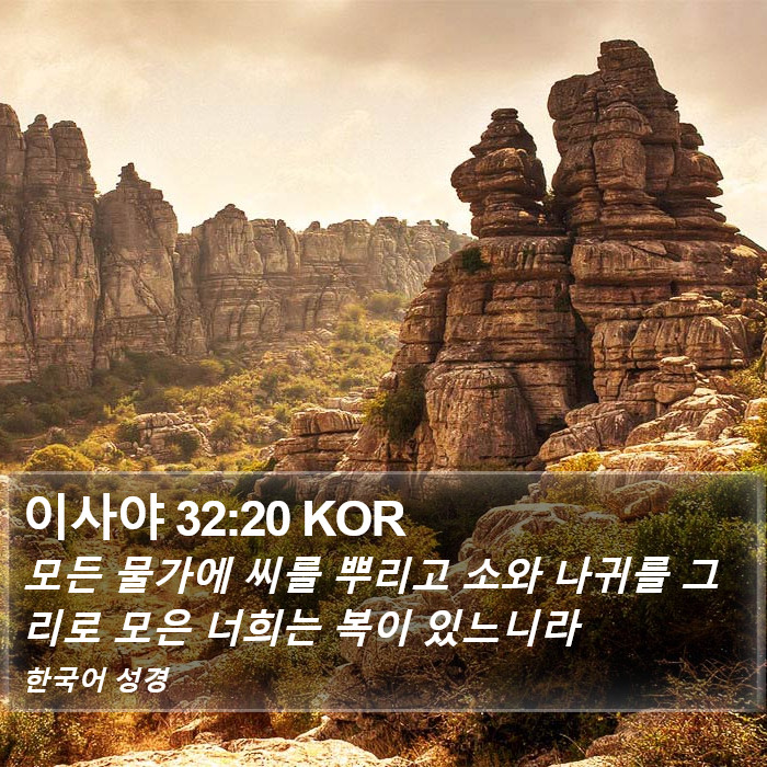 이사야 32:20 KOR Bible Study