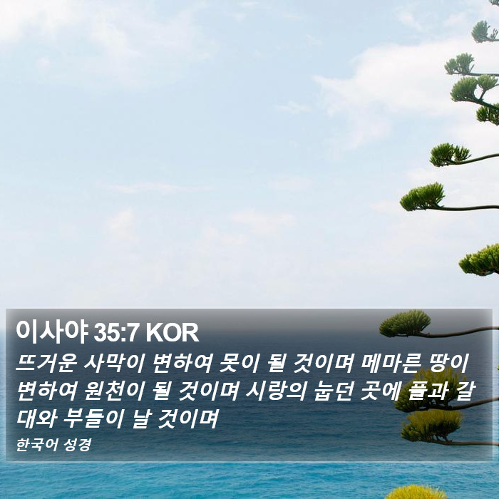 이사야 35:7 KOR Bible Study