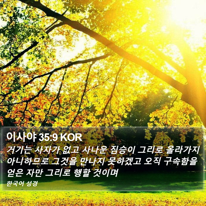 이사야 35:9 KOR Bible Study