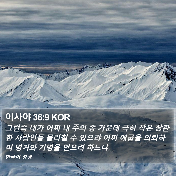 이사야 36:9 KOR Bible Study