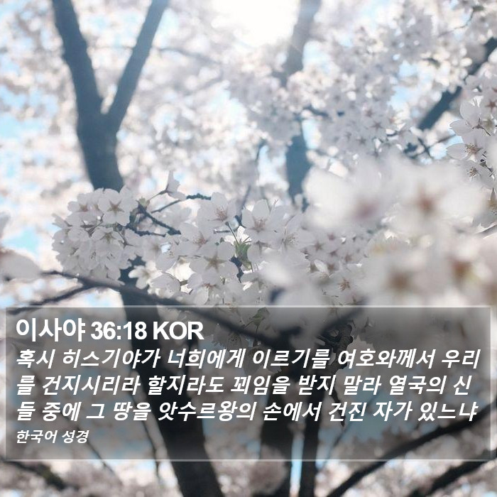 이사야 36:18 KOR Bible Study