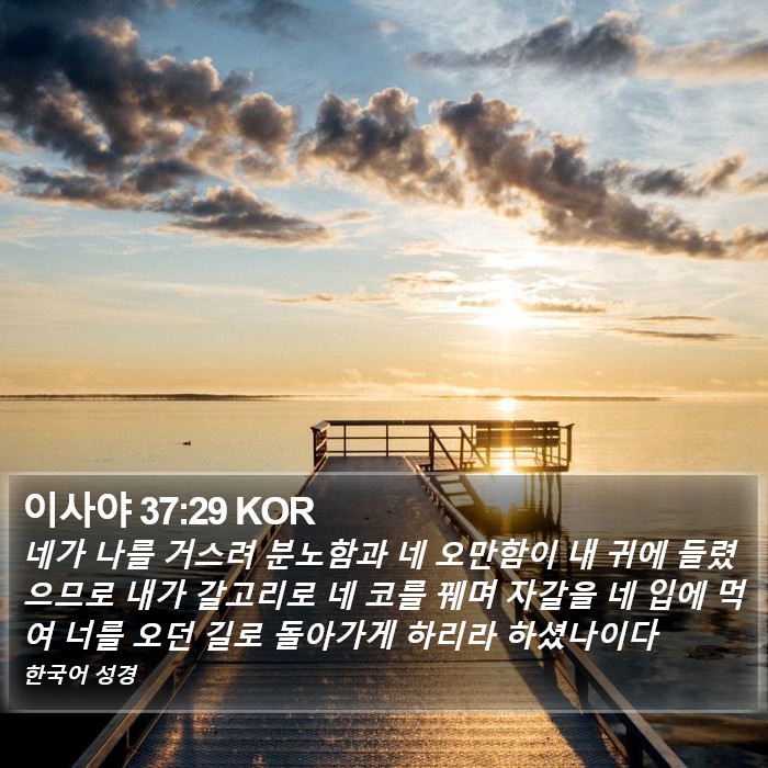 이사야 37:29 KOR Bible Study