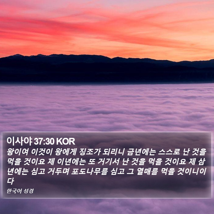 이사야 37:30 KOR Bible Study