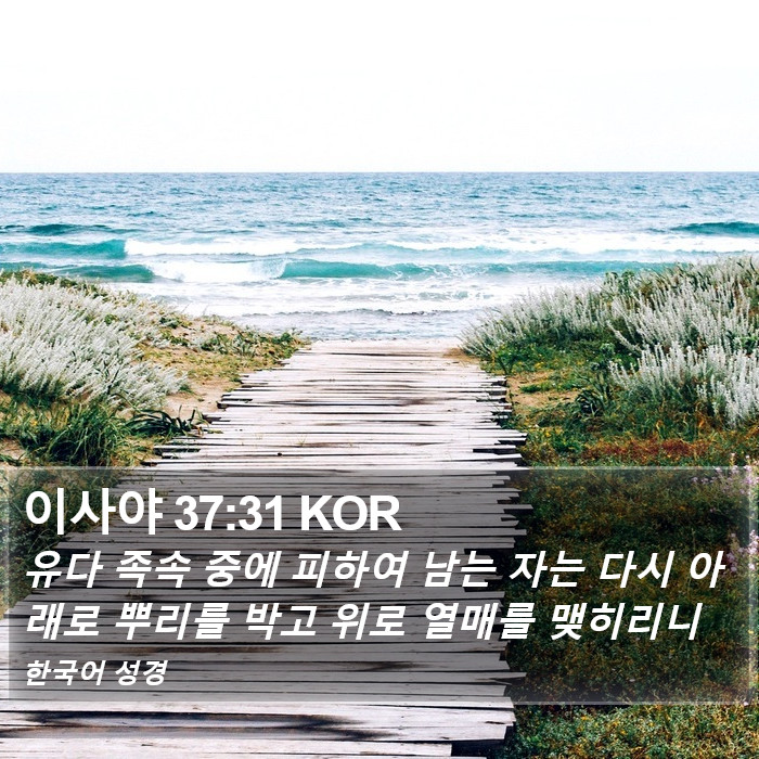 이사야 37:31 KOR Bible Study