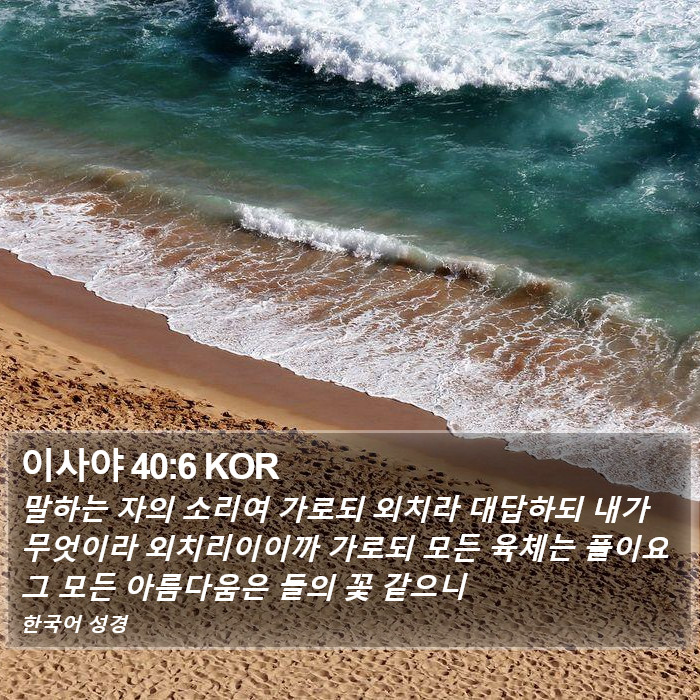 이사야 40:6 KOR Bible Study