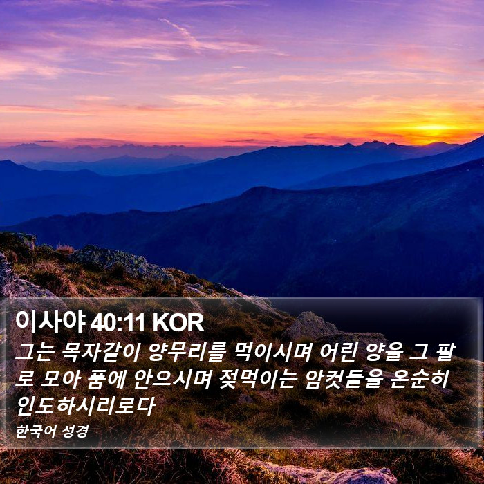 이사야 40:11 KOR Bible Study