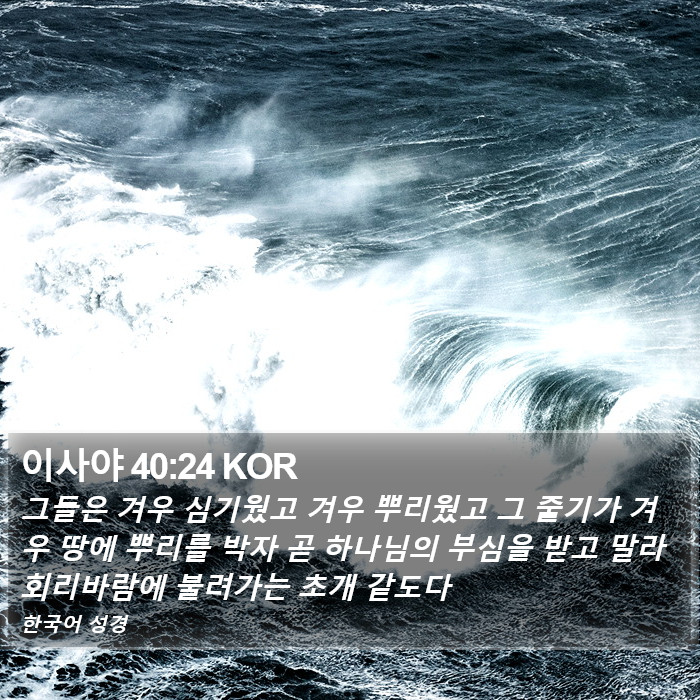 이사야 40:24 KOR Bible Study