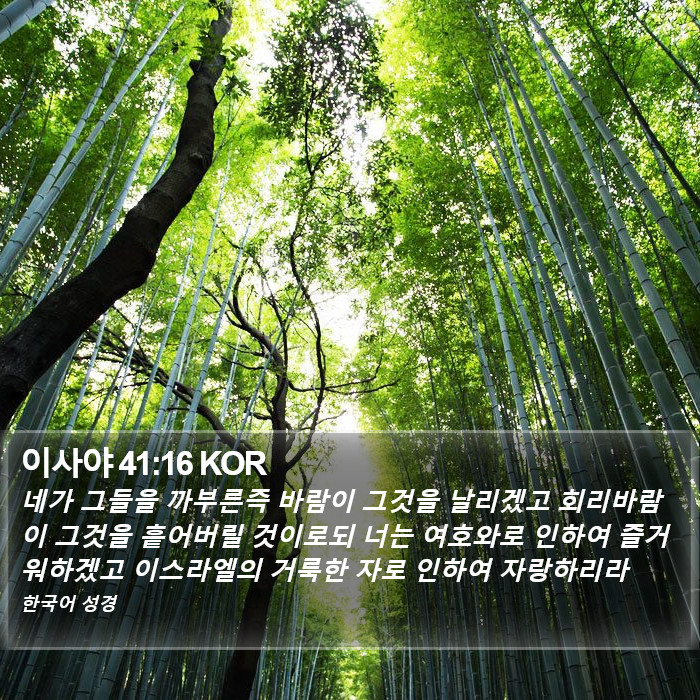 이사야 41:16 KOR Bible Study