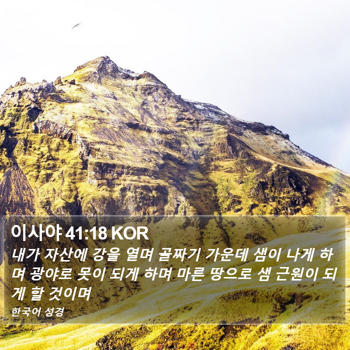 이사야 41:18 KOR Bible Study