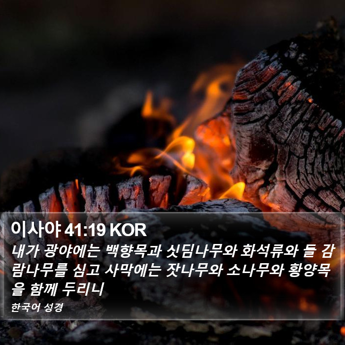 이사야 41:19 KOR Bible Study