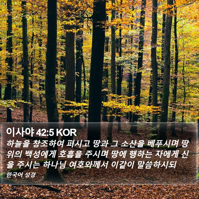 이사야 42:5 KOR Bible Study