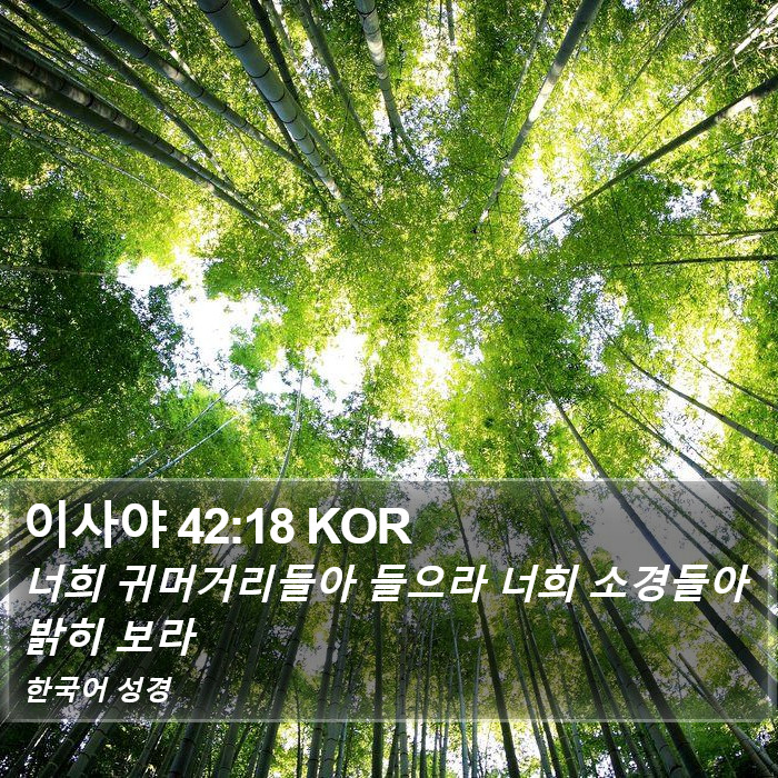 이사야 42:18 KOR Bible Study