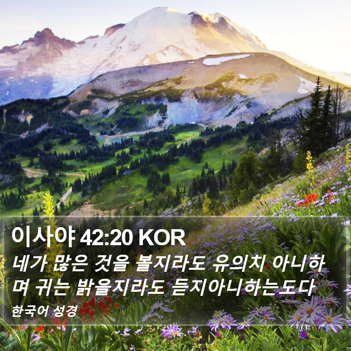 이사야 42:20 KOR Bible Study