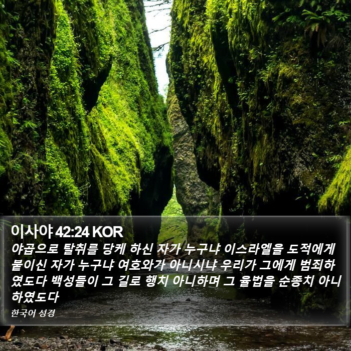 이사야 42:24 KOR Bible Study